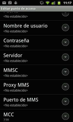 Desplácese hacia abajo e introduzca la información MMS