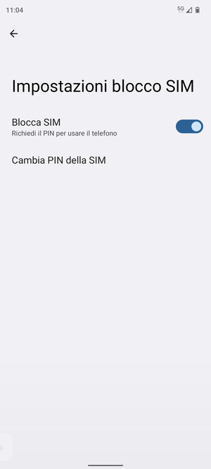 Seleziona  Cambia PIN della SIM