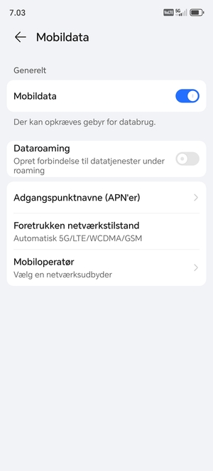 Vælg Adgangspunktnavne (APN'er)