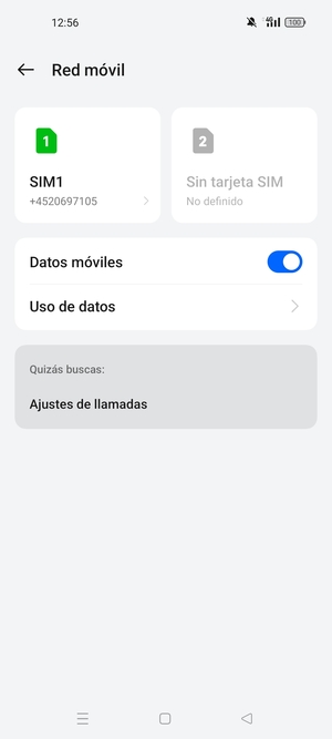 Seleccione SIM1 o SIM2