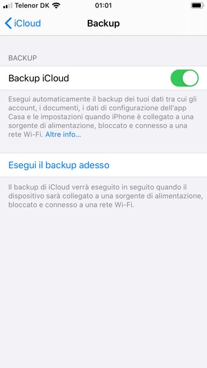 Seleziona Esegui il backup adesso