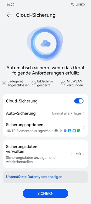 Wählen Sie SICHERN