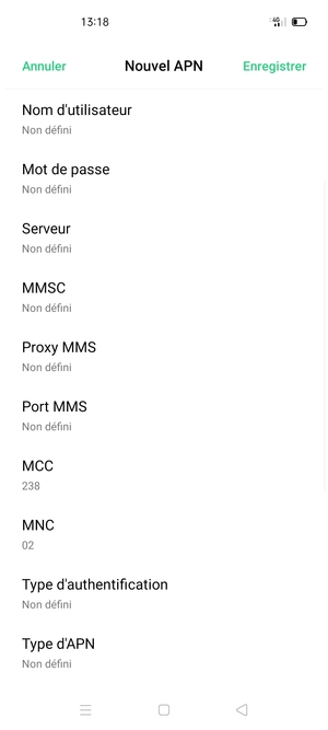Faites défiler vers le bas et saisissez les informations Internet
