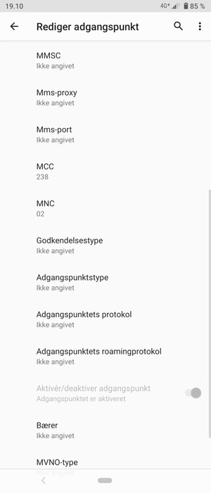 Scroll ned og indtast internet-oplysninger