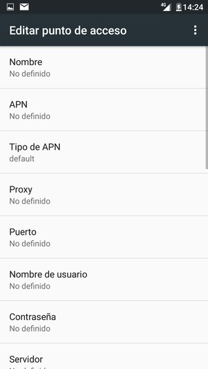 Introduzca la información de Internet