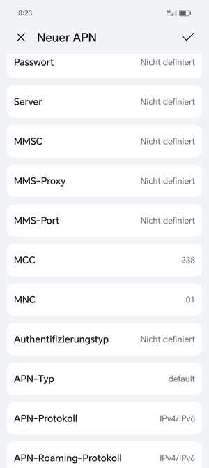 Scrollen Sie nach unten und geben Sie Internetinformationen ein