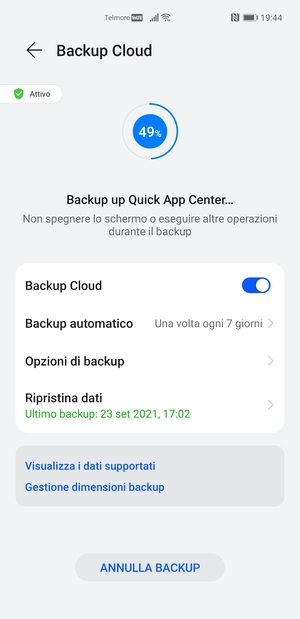 Attendi il completamento del backup