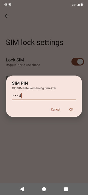 Enter your Old SIM PIN and select OK