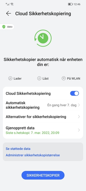Velg SIKKERHETSKOPIER