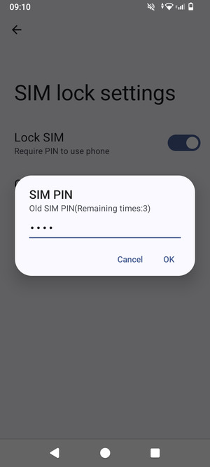 Enter your Old SIM PIN and select OK