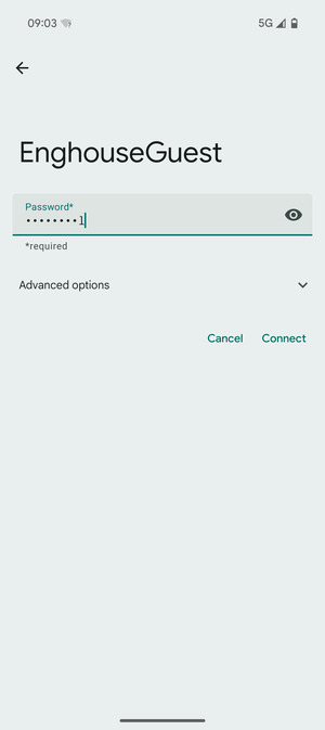 Enter the Wi-Fi password and select Connect