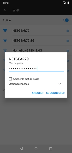 Saisissez le mot de passe du Wi-Fi et sélectionnez SE CONNECTER