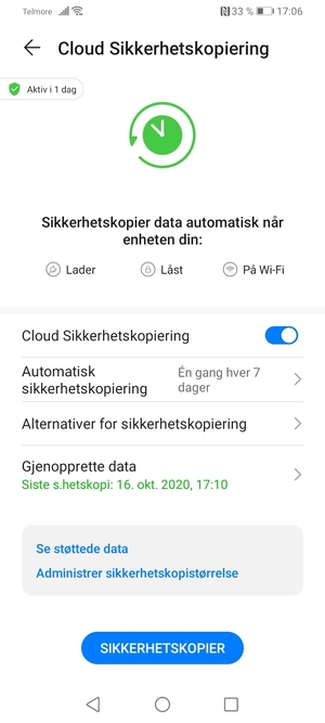 Velg SIKKERHETSKOPIER
