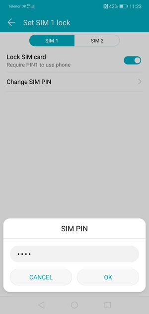 Enter your New SIM PIN and select OK