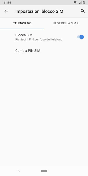 Seleziona Public e Cambia PIN SIM