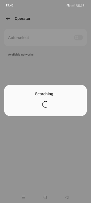 Wait for the search to finish