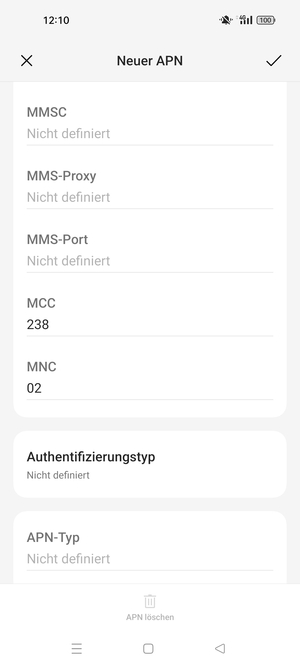 Scrollen Sie nach unten und geben Sie Internetinformationen ein