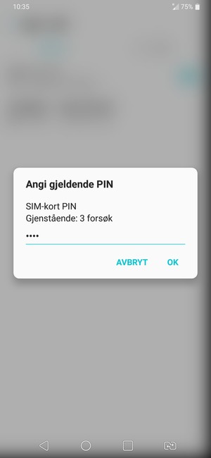 Skriv inn Gjeldende SIM-kort PIN og velg OK