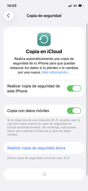 Seleccione Realizar copia de seguridad ahora