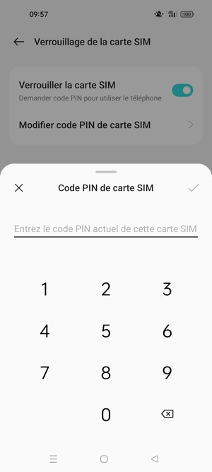 Saisissez code PIN actuel de cette carte SIM et sélectionnez OK