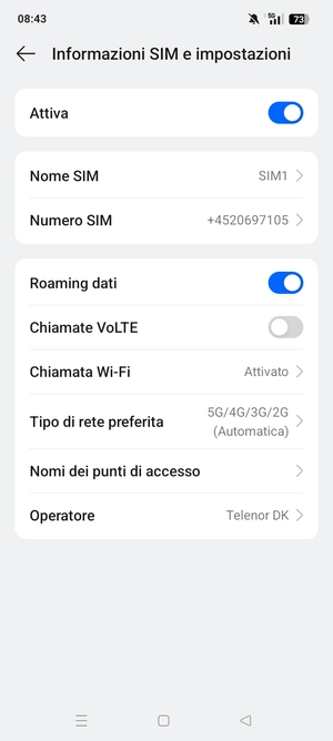 Attiva o disattiva Roaming dati