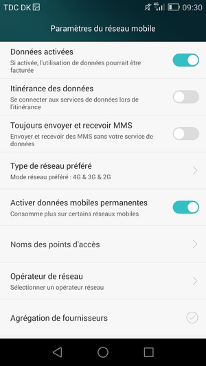 Sélectionnez Type de réseau préféré