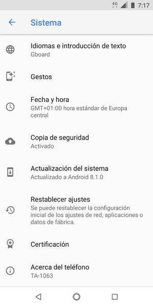 Seleccione Actualización del sistema