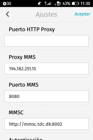 Desplácese hacia abajo e introduzca la información MMS