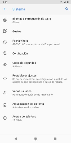 Seleccione Actualización del sistema