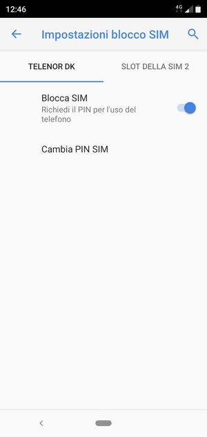 Seleziona Public e Cambia PIN SIM