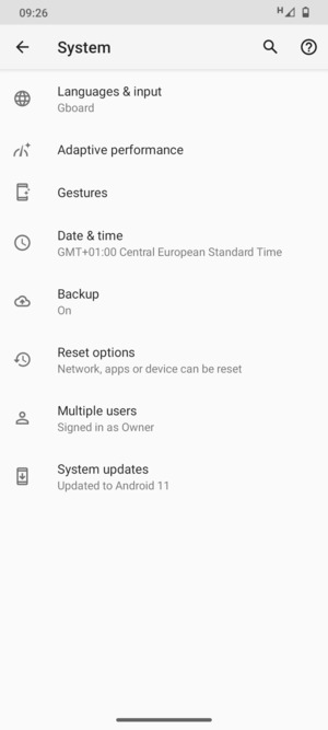 Select System updates