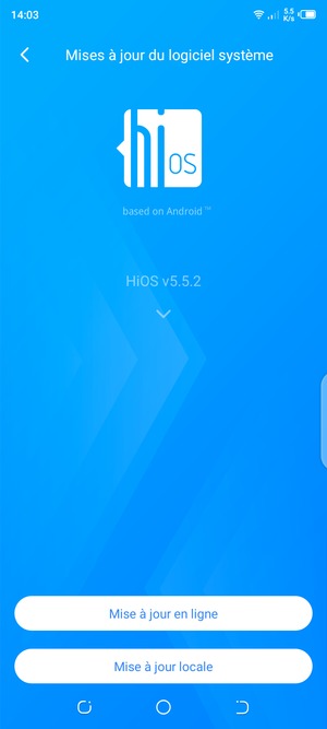 Sélectionnez Mise à jour en ligne