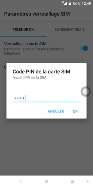 Saisissez votre Ancien PIN de la SIM et sélectionnez OK