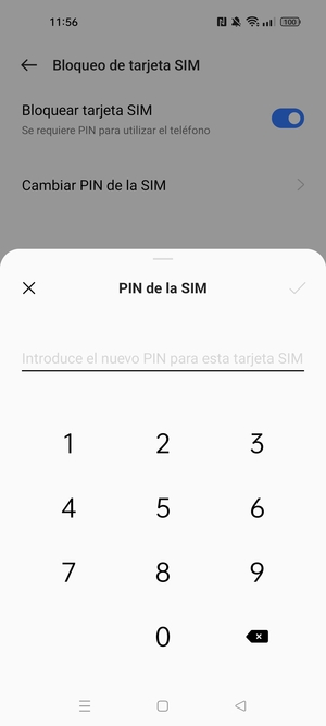 Introduzca PIN actual de la tarjeta SIM y seleccione Aceptar