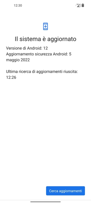 Se il tuo telefono è aggiornato, vedrai la seguente schermata