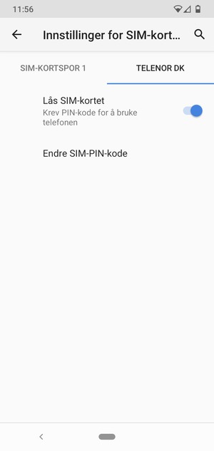 Velg Public og Endre SIM-PIN-kode