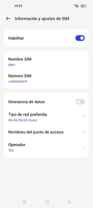 Seleccione Tipo de red preferida