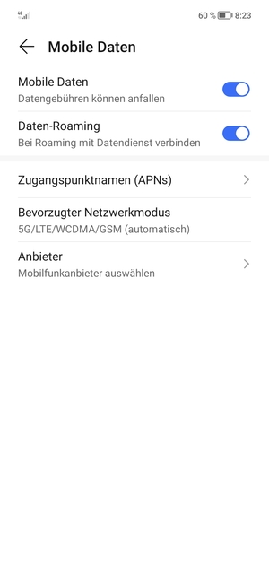 Schalten Sie Daten-Roaming an oder aus