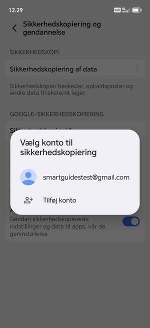 Vælg din sikkerhedskopi-konto