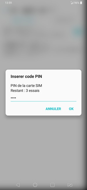 Saisissez votre Ancien code PIN de la carte SIM et sélectionnez OK
