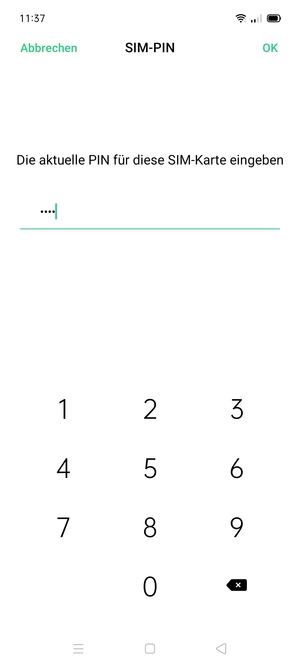 Geben Sie Alte SIM-PIN ein und wählen Sie OK