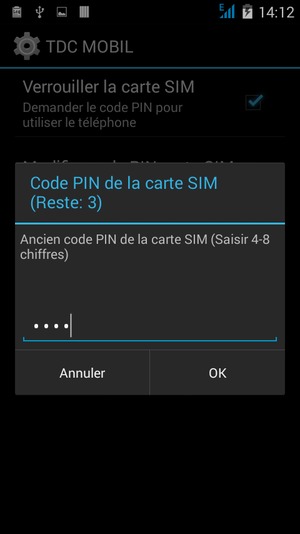 Saisissez votre Ancien code PIN de la carte SIM et sélectionnez OK