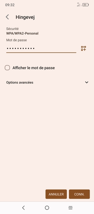 Saisissez le mot de passe du Wi-Fi et sélectionnez CONN.