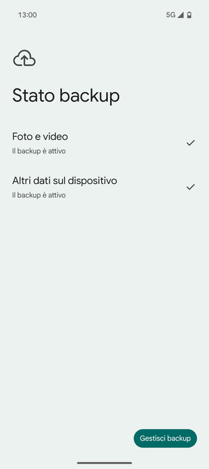 Seleziona Gestisci backup