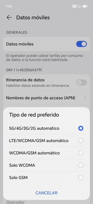Seleccione la opción deseada