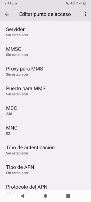 Desplácese hacia abajo e introduzca la información de Internet