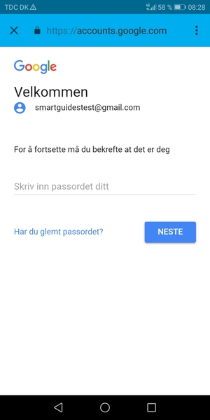 Skriv inn Gmail passord og velg NESTE