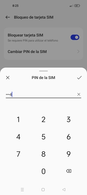 Introduzca PIN actual de la tarjeta SIM y seleccione Aceptar