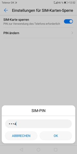 Geben Sie Ihre Alte PIN der SIM-Karte ein und wählen Sie OK