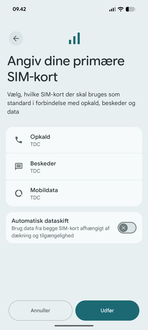 Vælg dine foretrukne muligheder og vælg Udfør